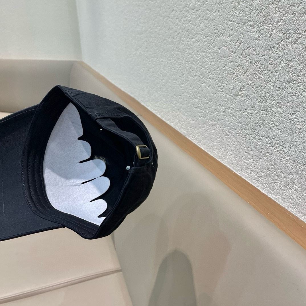 Louis Vuitton Caps